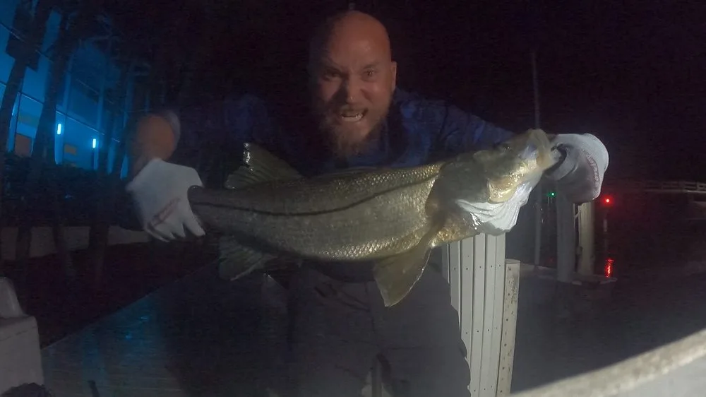 A big snook caught at night